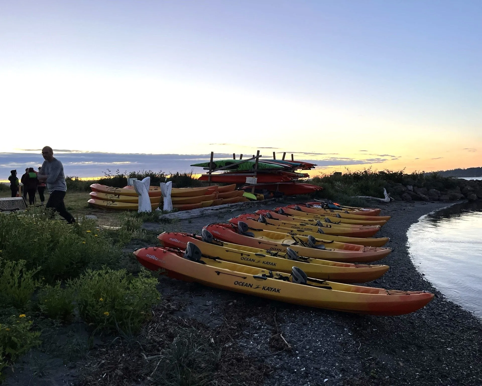 Bioluminescence Kayak Tour