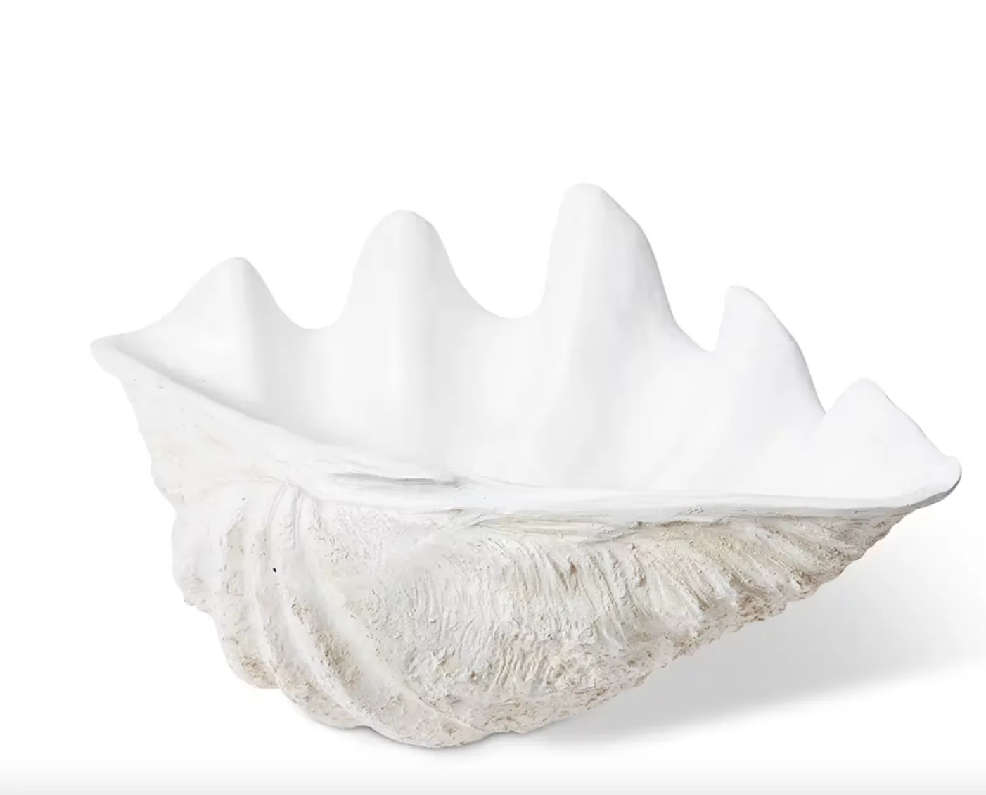 Clam Shell Sculpture