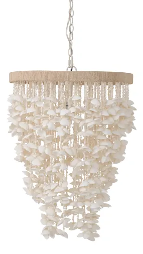 Cone Clamrose Seashell Chandelier, White