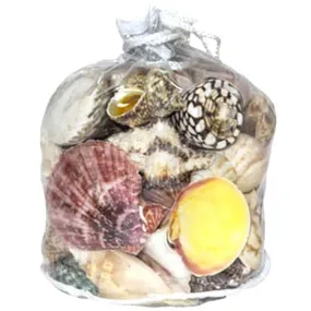 Designer Shell Gift Bag