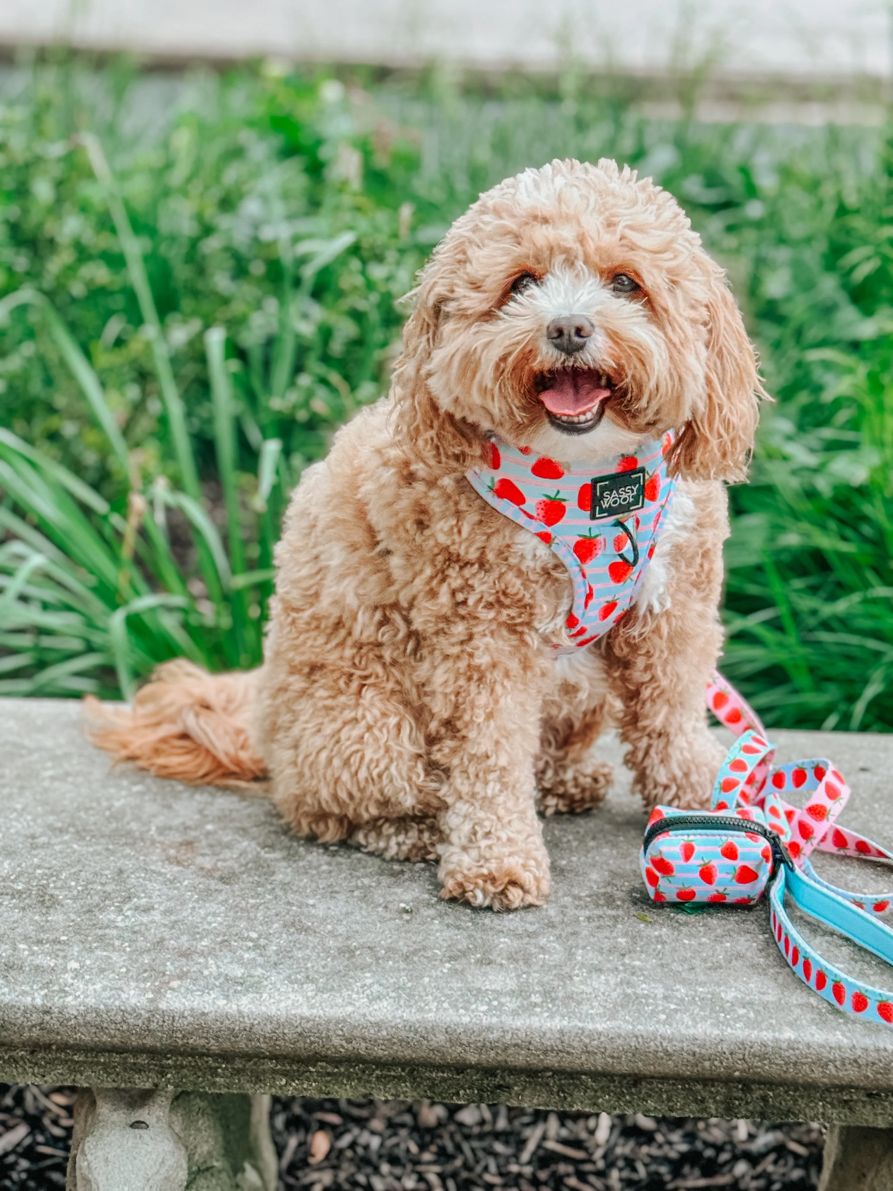 Dog Waste Bag Holder - I Woof You Berry Much