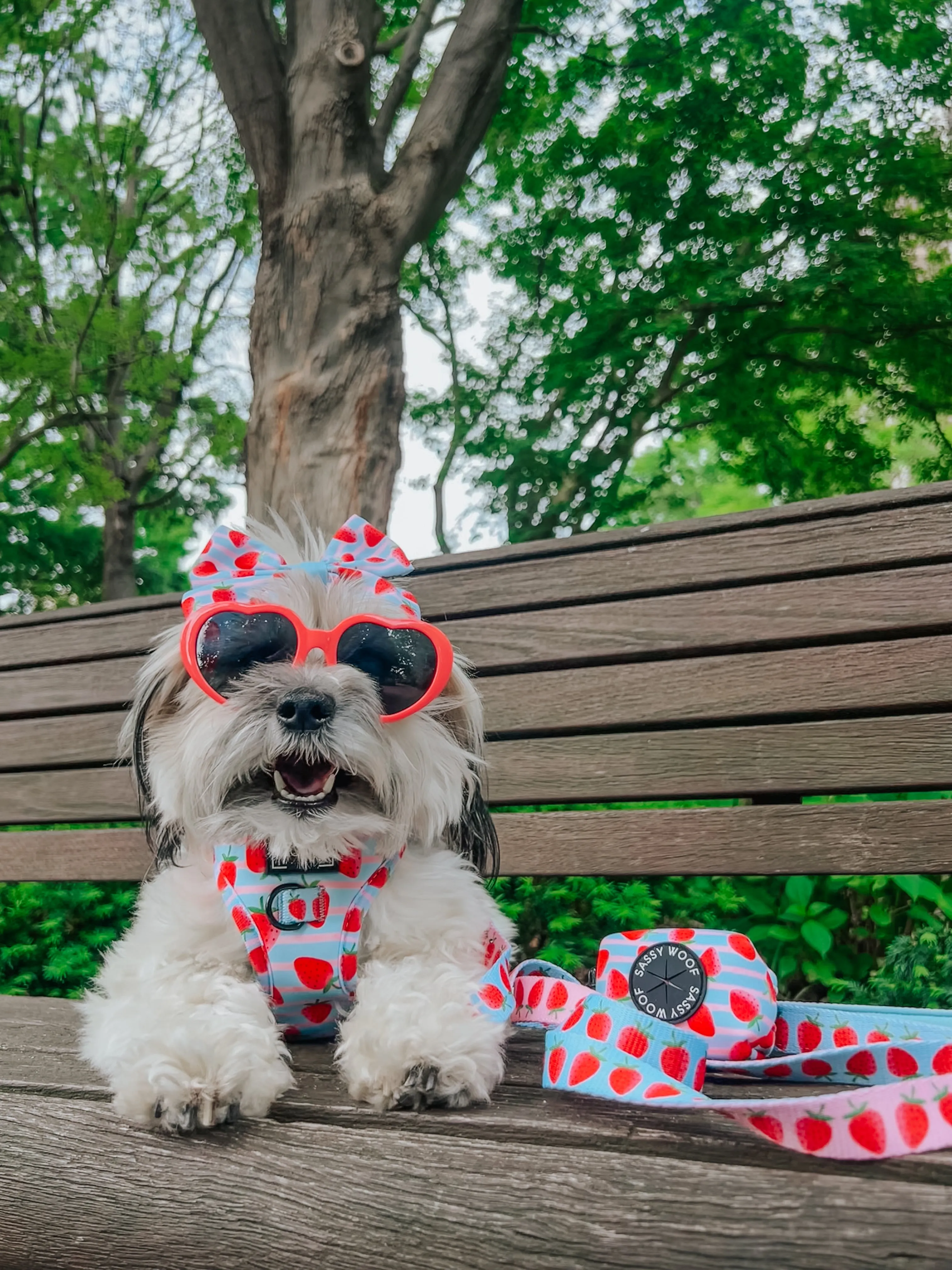 Dog Waste Bag Holder - I Woof You Berry Much