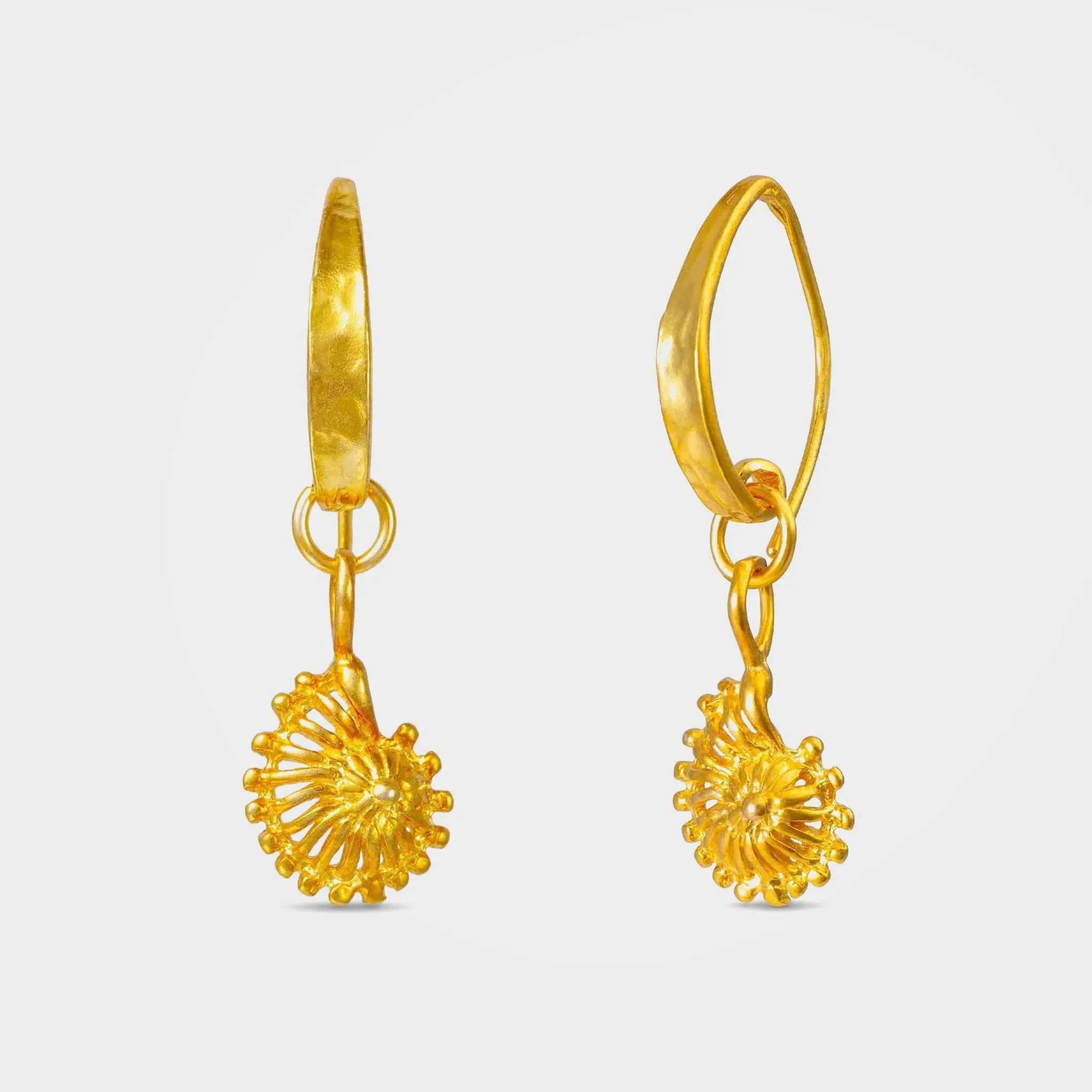 Gold or Silver Shell Earrings, Ammonite | By Lunar James