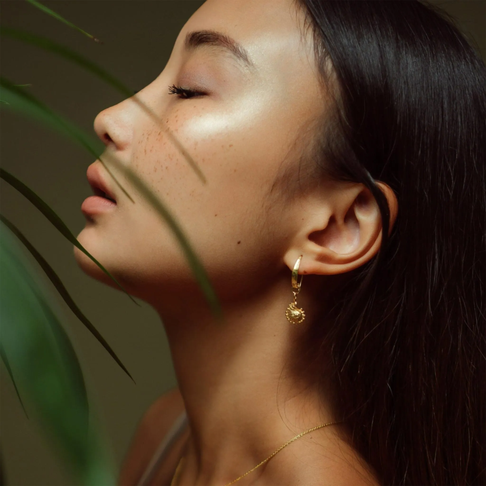 Gold or Silver Shell Earrings, Ammonite | By Lunar James