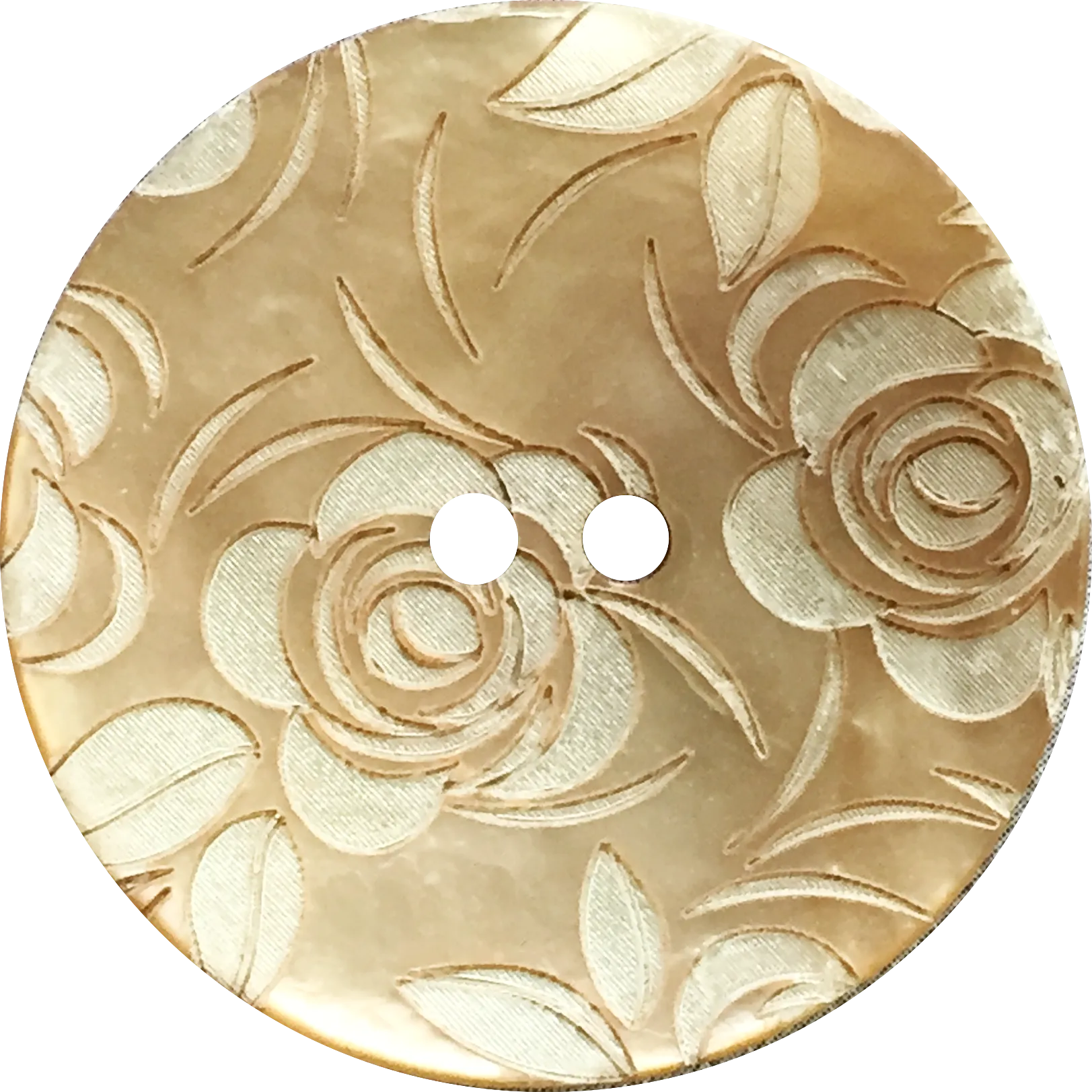 Golden Shell, White Roses Button, 15mm  5/8"  #1177