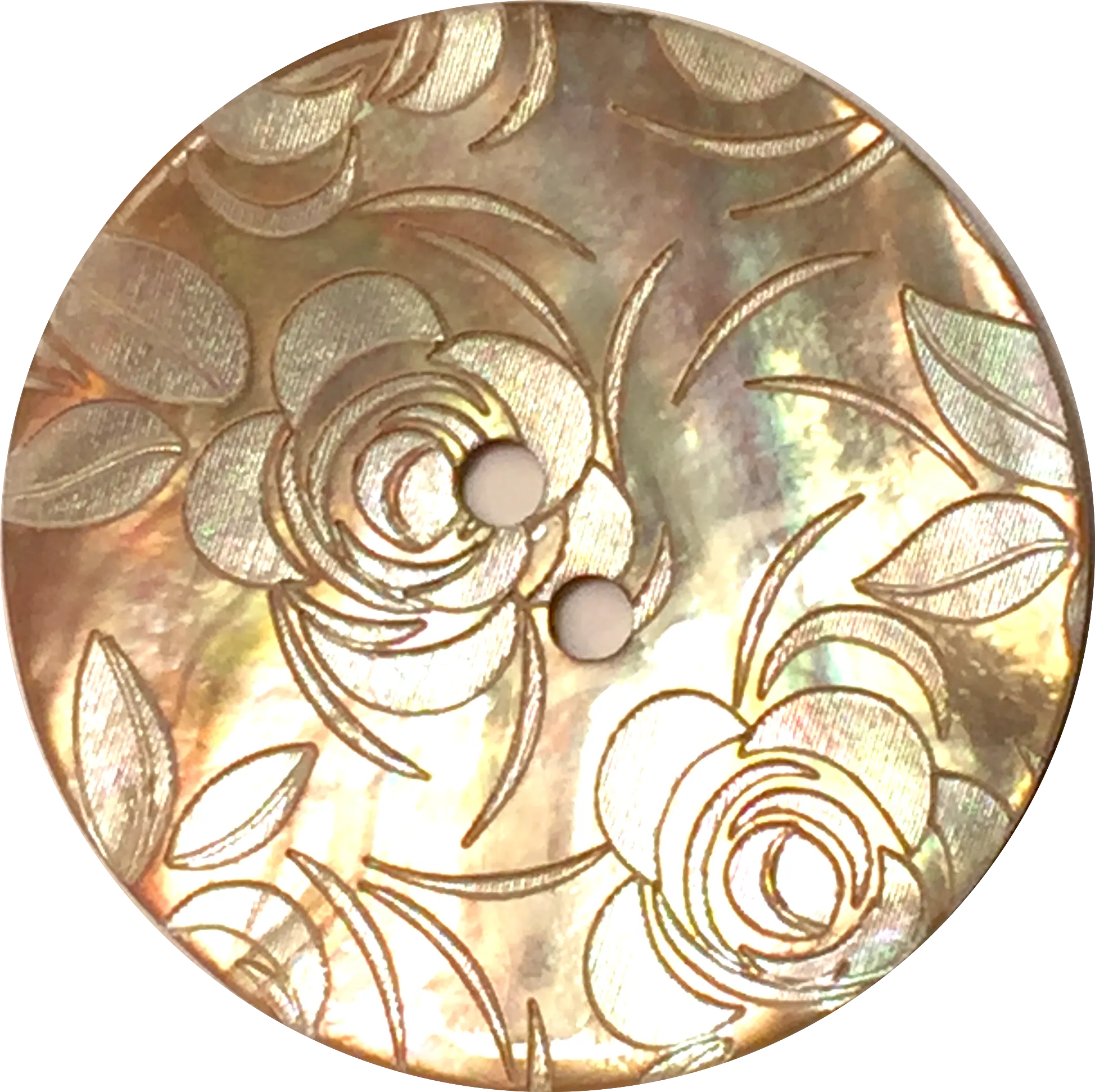 Golden Shell, White Roses Button, 15mm  5/8"  #1177