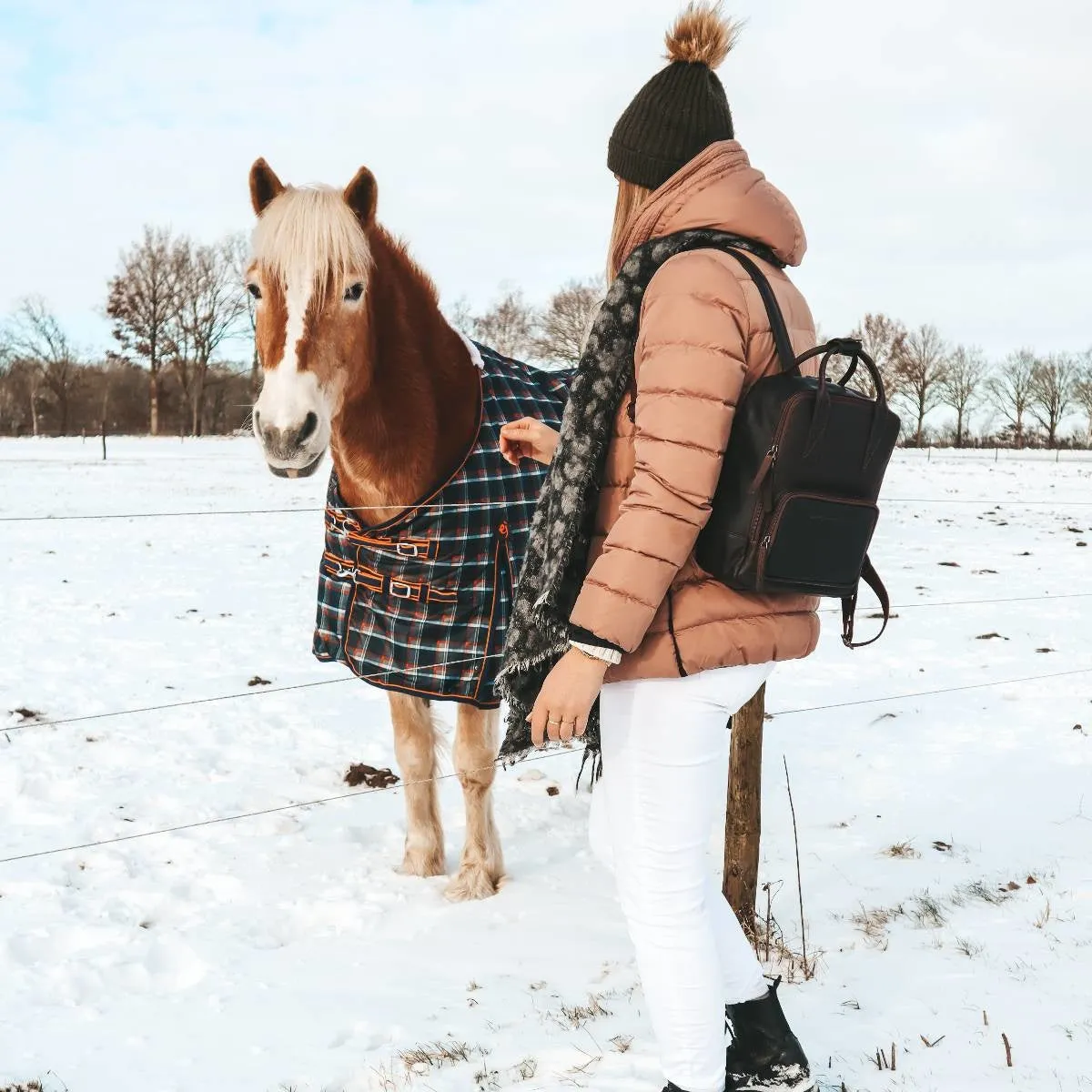 Leather Backpack Brown Bellary