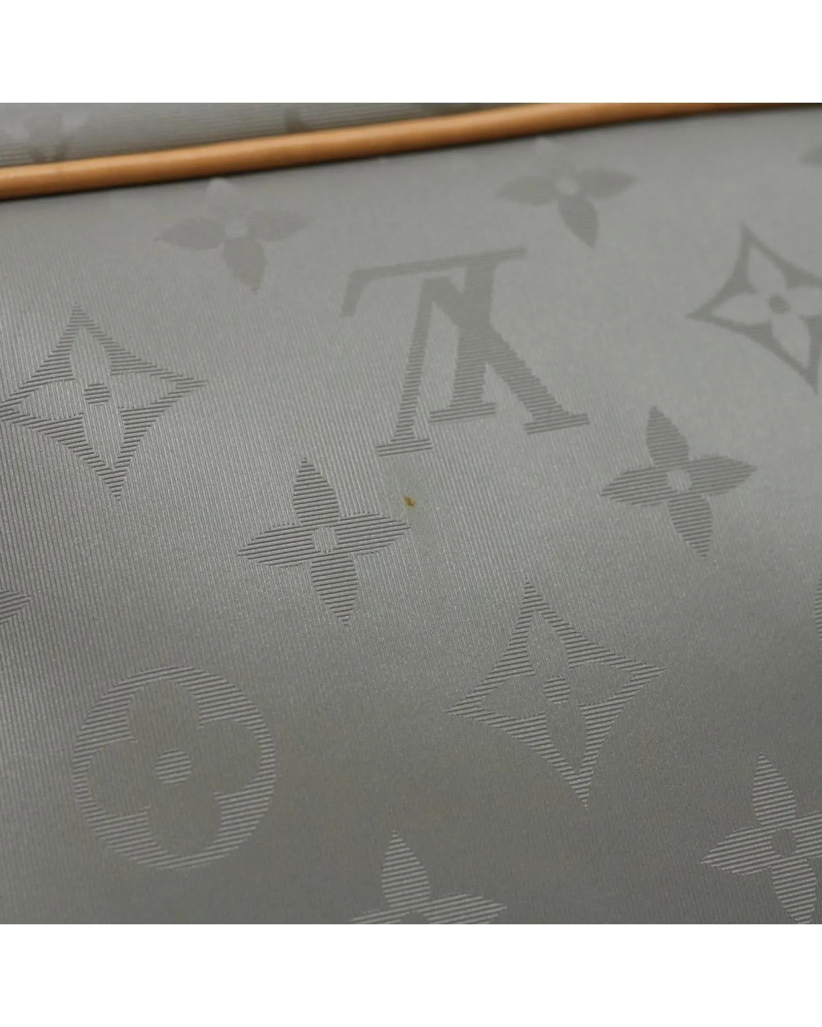 Monogram Titanium Camera Bag Shoulder Bag