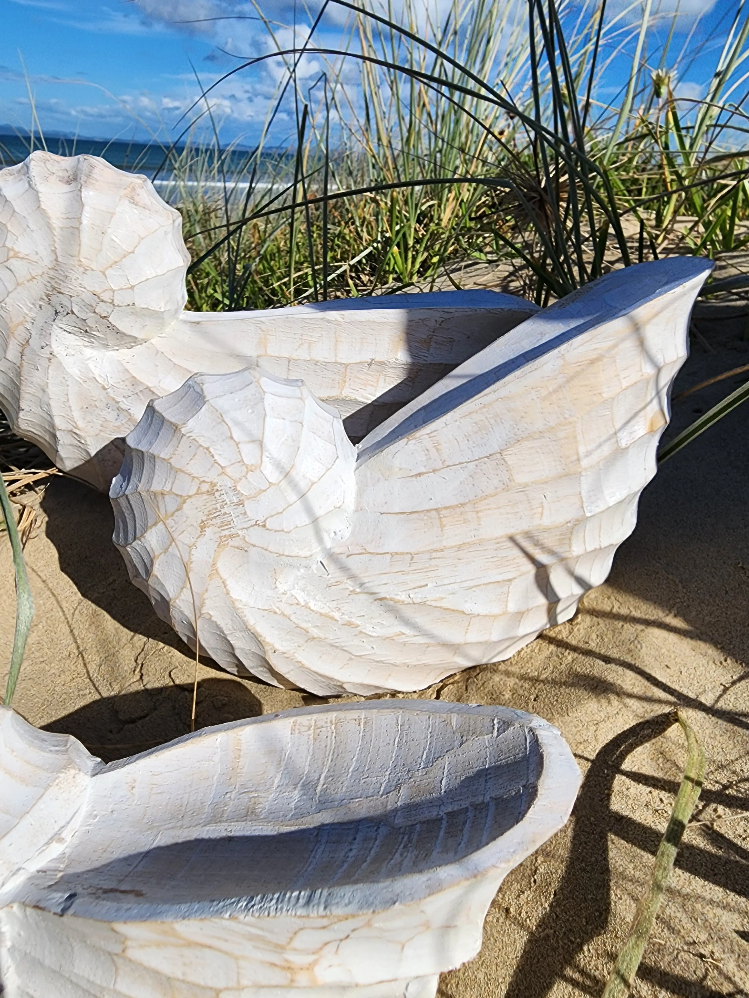 NAUTILUS WHITE WASHED