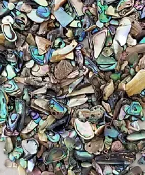 Paua Abalone Inlay -Inlay Material for Bowls, Rings, etc