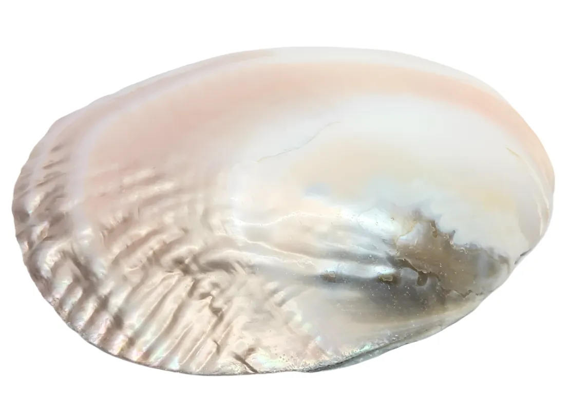 Pearl Shell Altar Plate