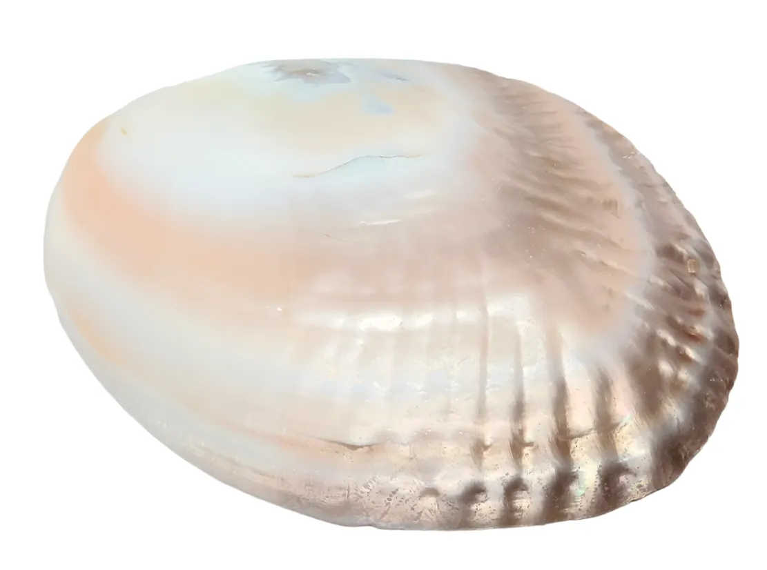 Pearl Shell Altar Plate