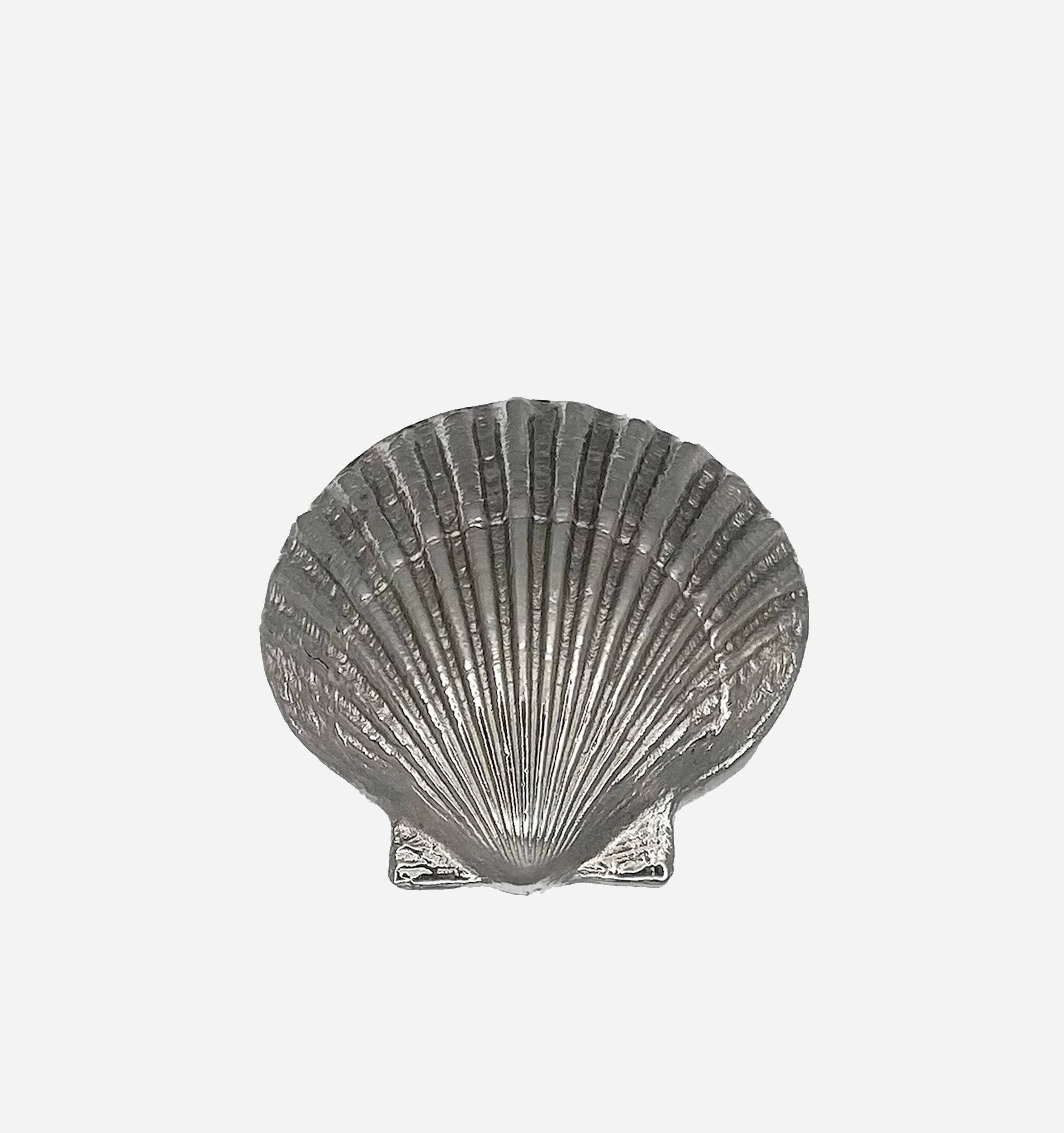 Silver Scallop