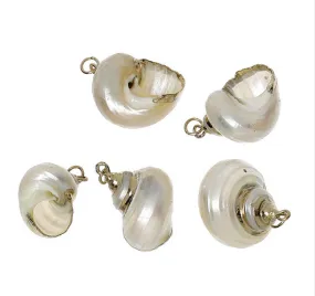 Snail Shell Necklaces