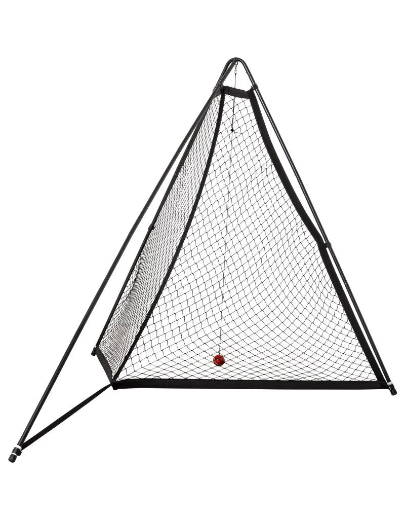 The V Pro Training Net