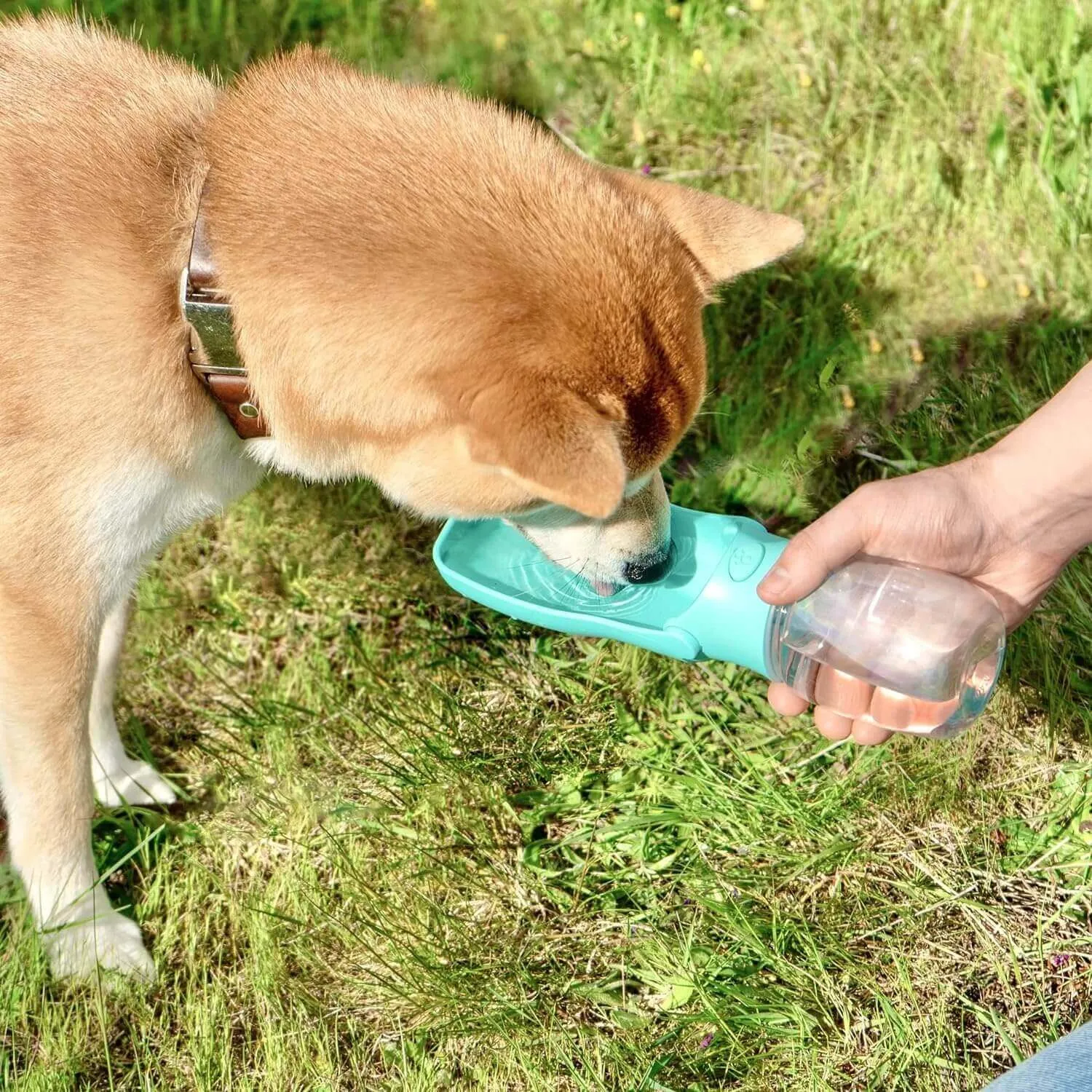 Water Bottle for Dogs - Portable Dog Water Bottle